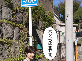 少年愛好家 つばさくん サンプル動画サムネイル