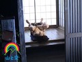 年増セフレ かなえ（仮名）42歳　サンプル画像04